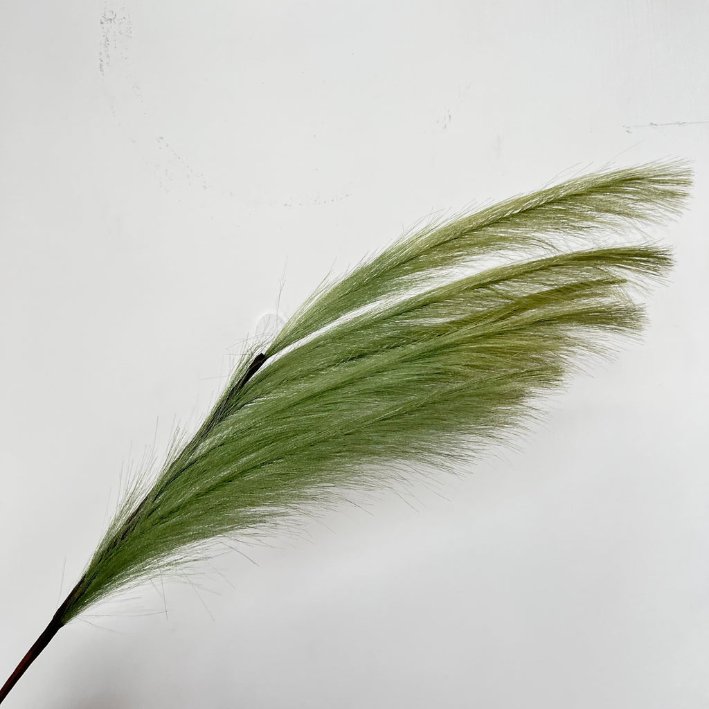 Common Reed (2 pcs)