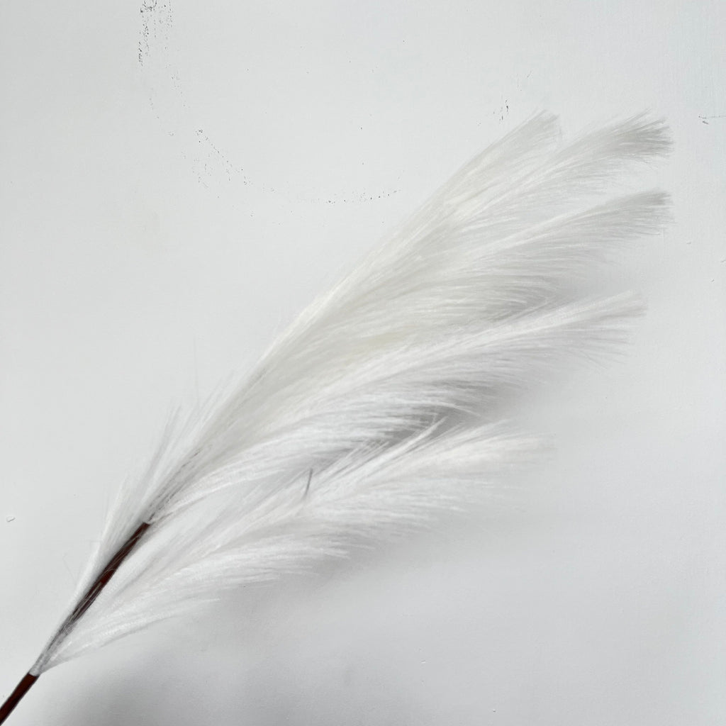 Common Reed (2 pcs)