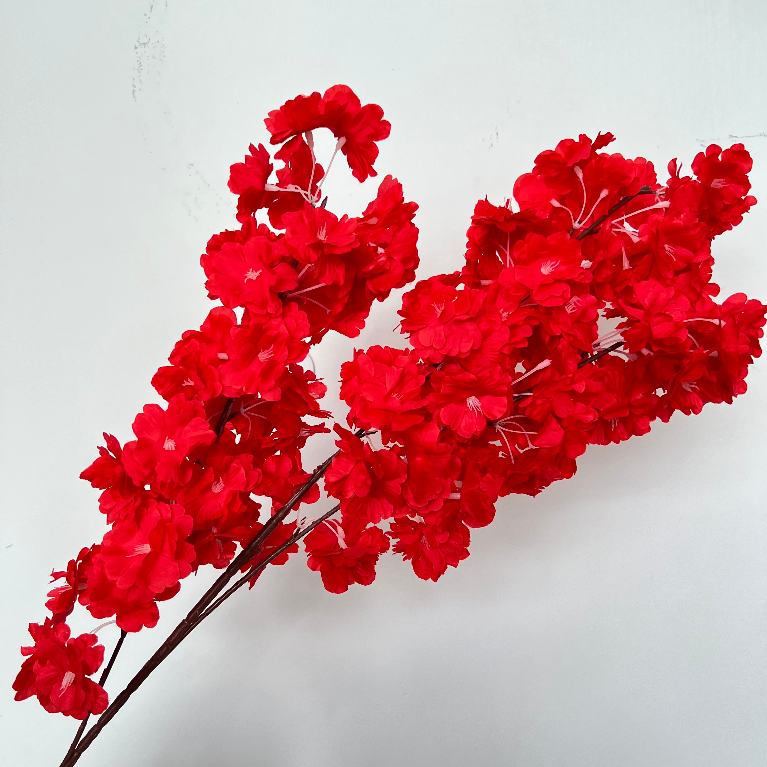 Ukon Cherry Blossom Flowers