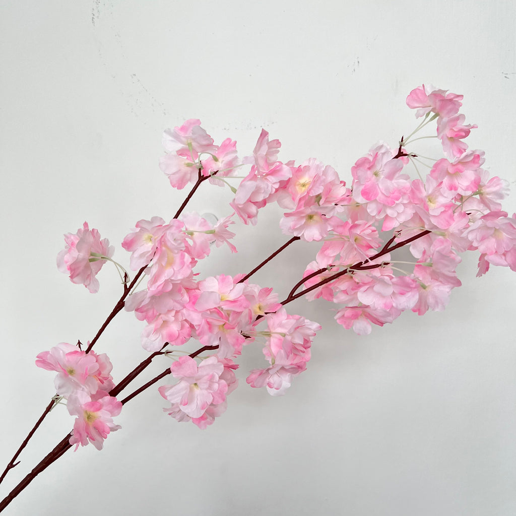 Ukon Cherry Blossom Flowers