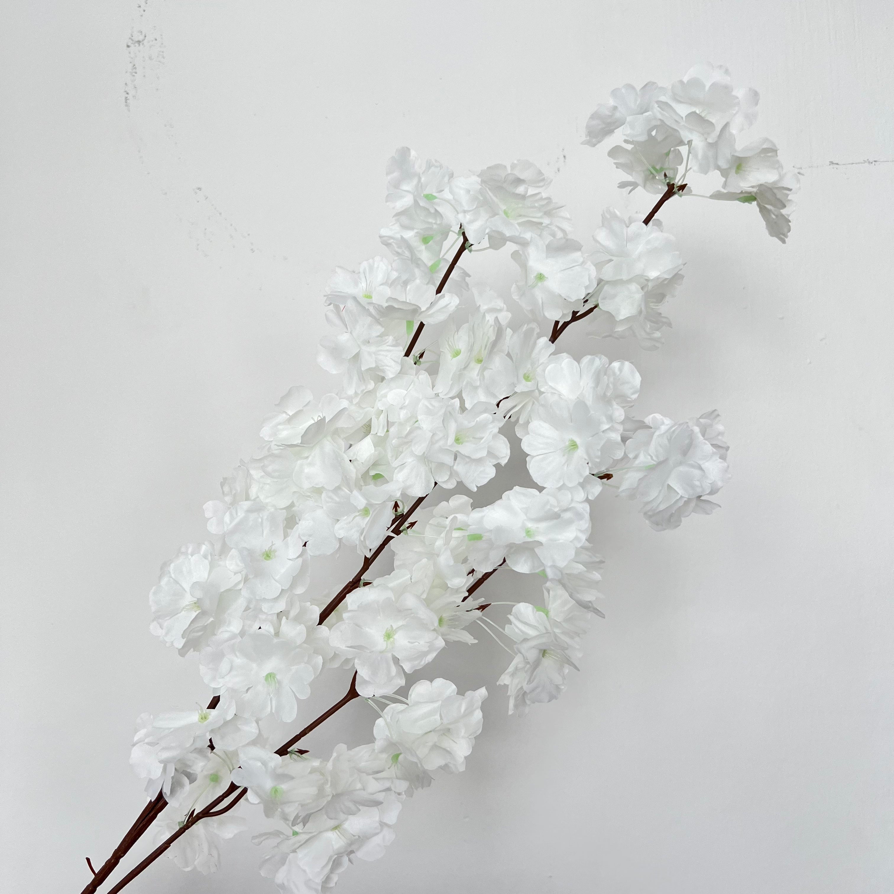 Ukon Cherry Blossom Flowers