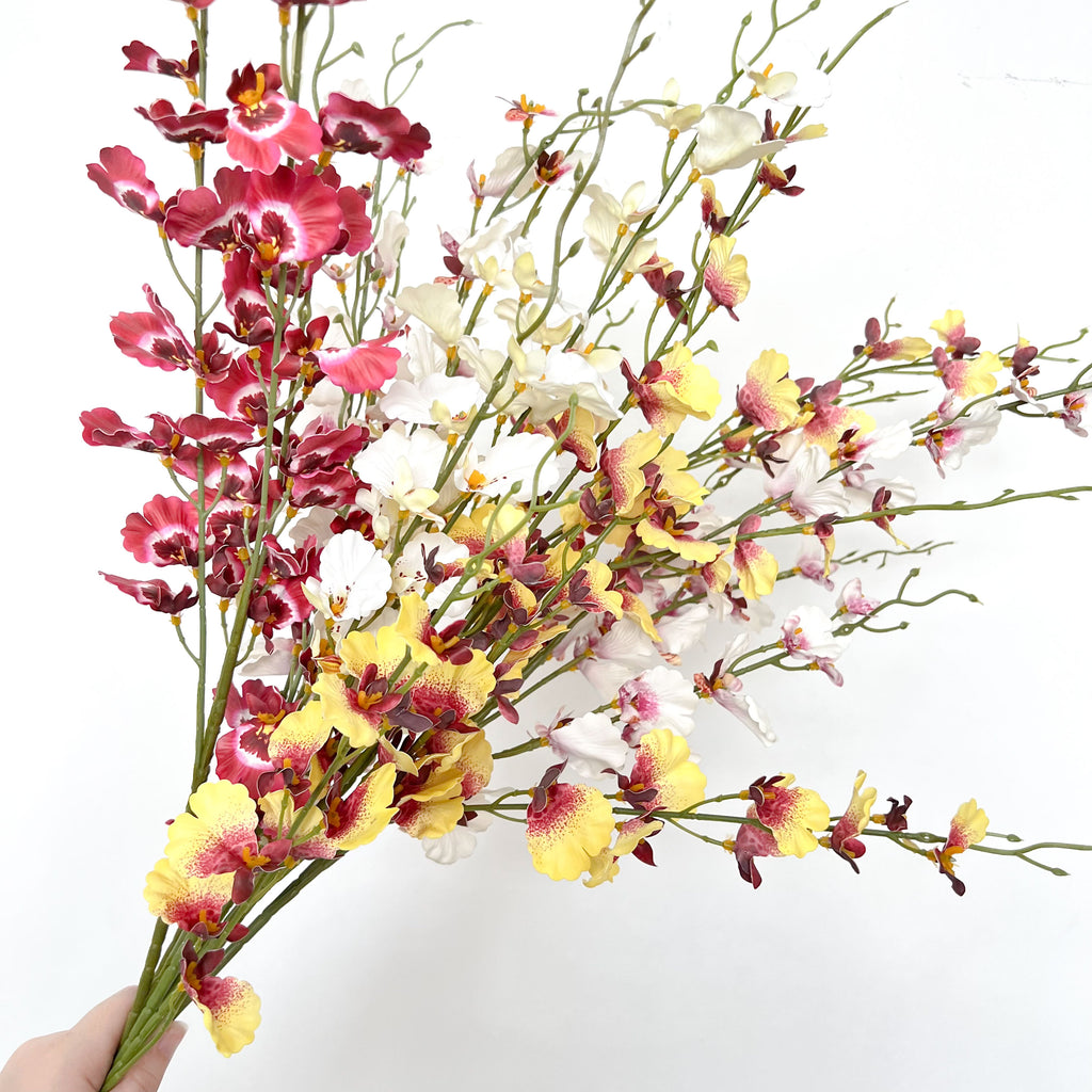 Dancing-lady Orchid Flowers