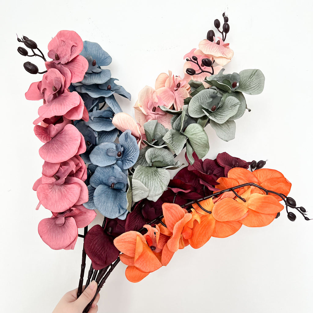 9-Bloom Moth Orchid Flowers