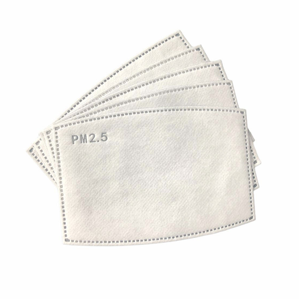 Disposable Mask Filter Insert (BFE 98.1%)
