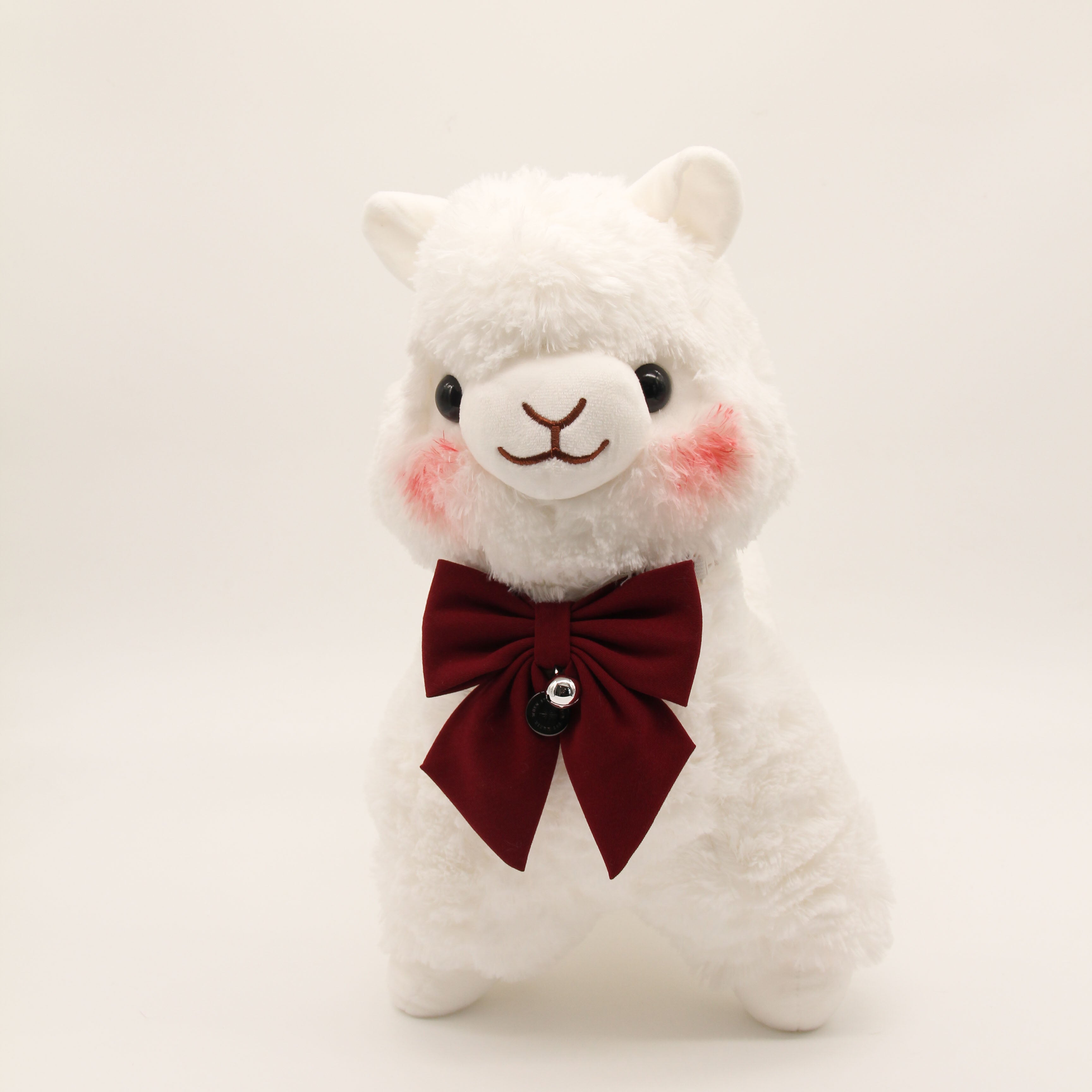 Miss Asahi the Alpaca