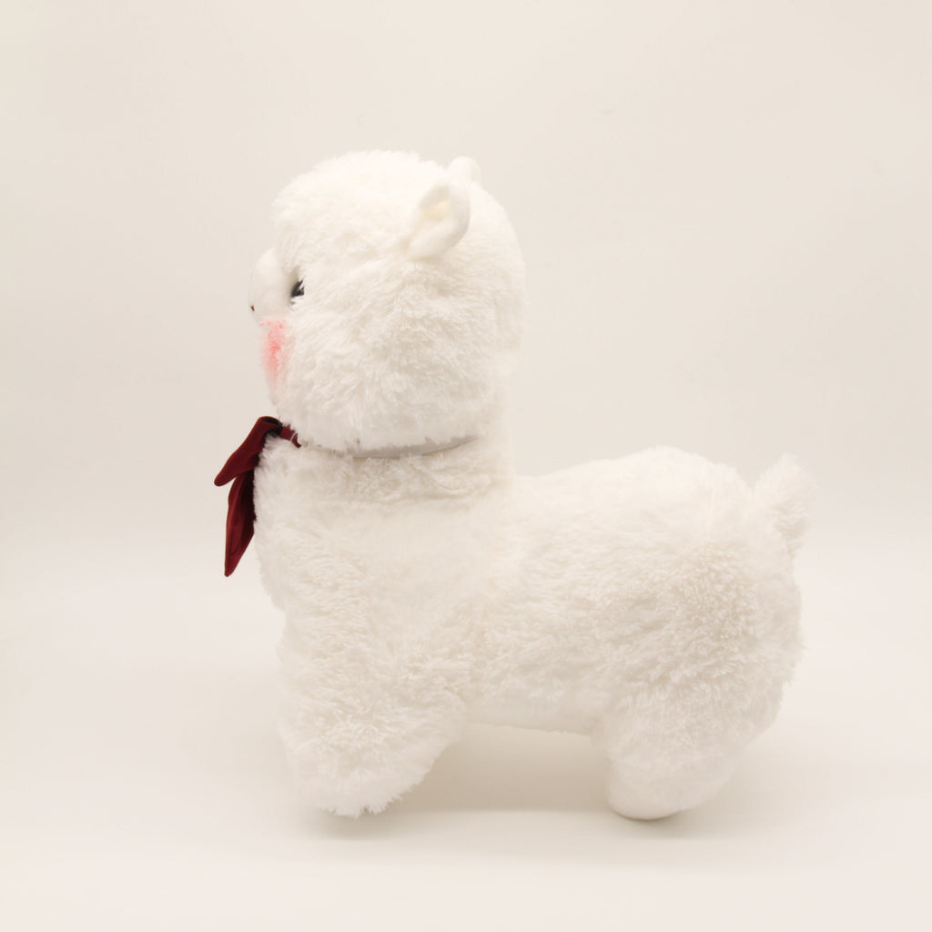 Miss Asahi the Alpaca