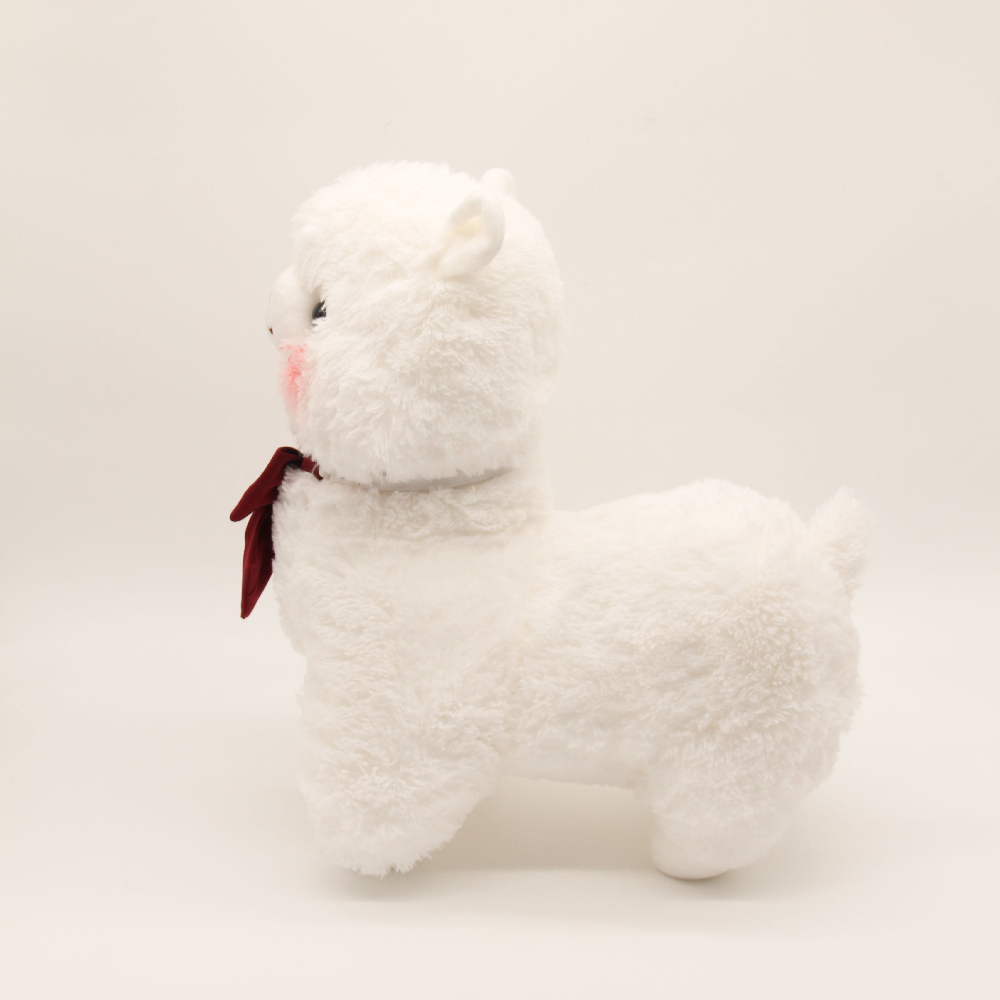 Miss Asahi the Alpaca