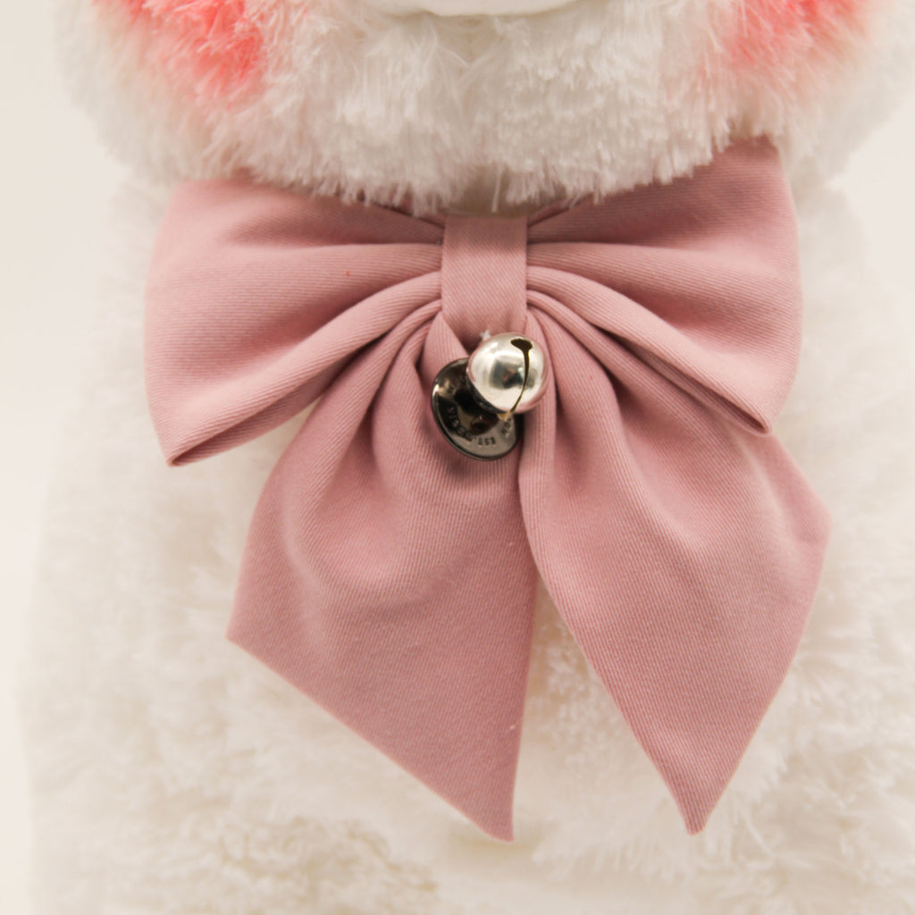 Miss Kaze the Alpaca