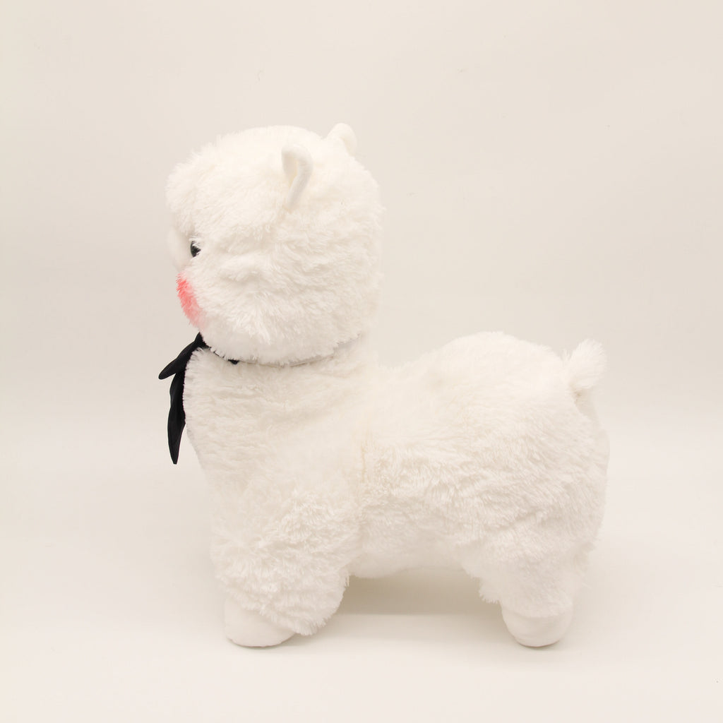 Miss Mizu the Alpaca