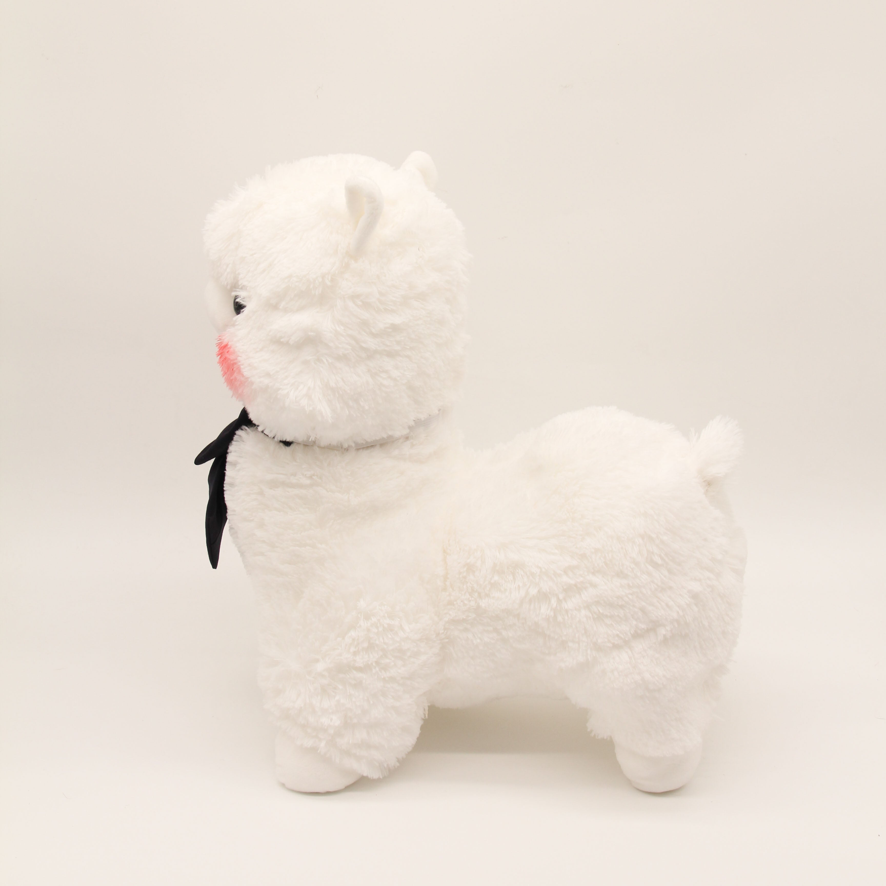 Miss Mizu the Alpaca