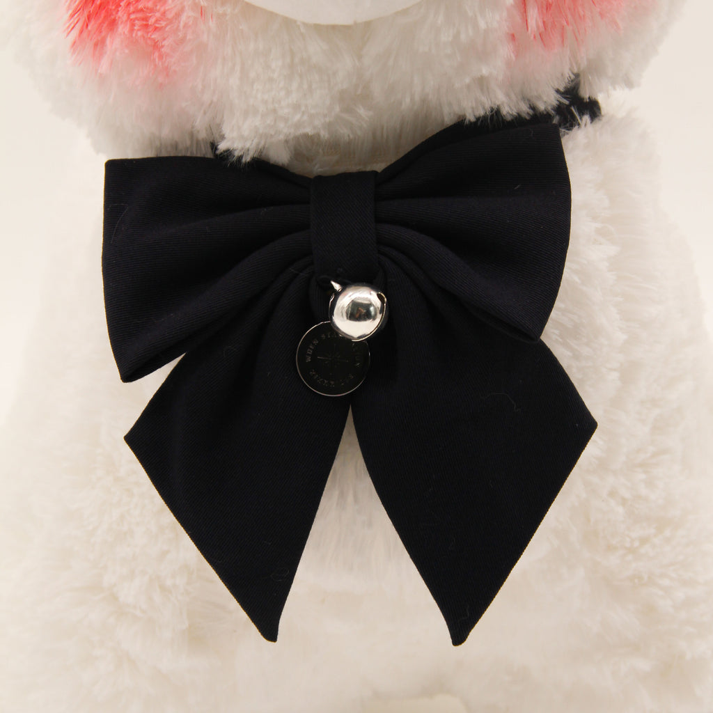 Miss Mizu the Alpaca