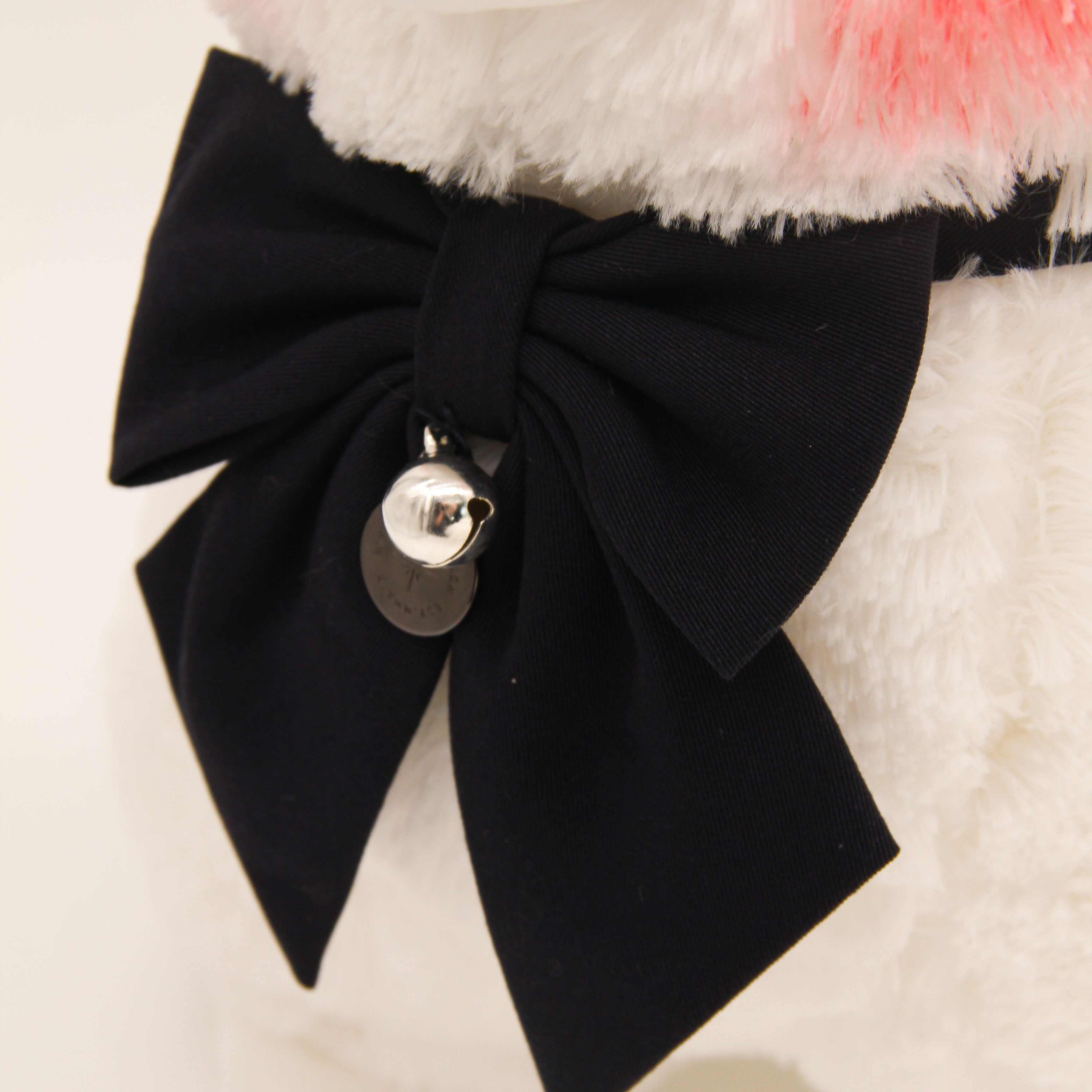 Miss Mizu the Alpaca