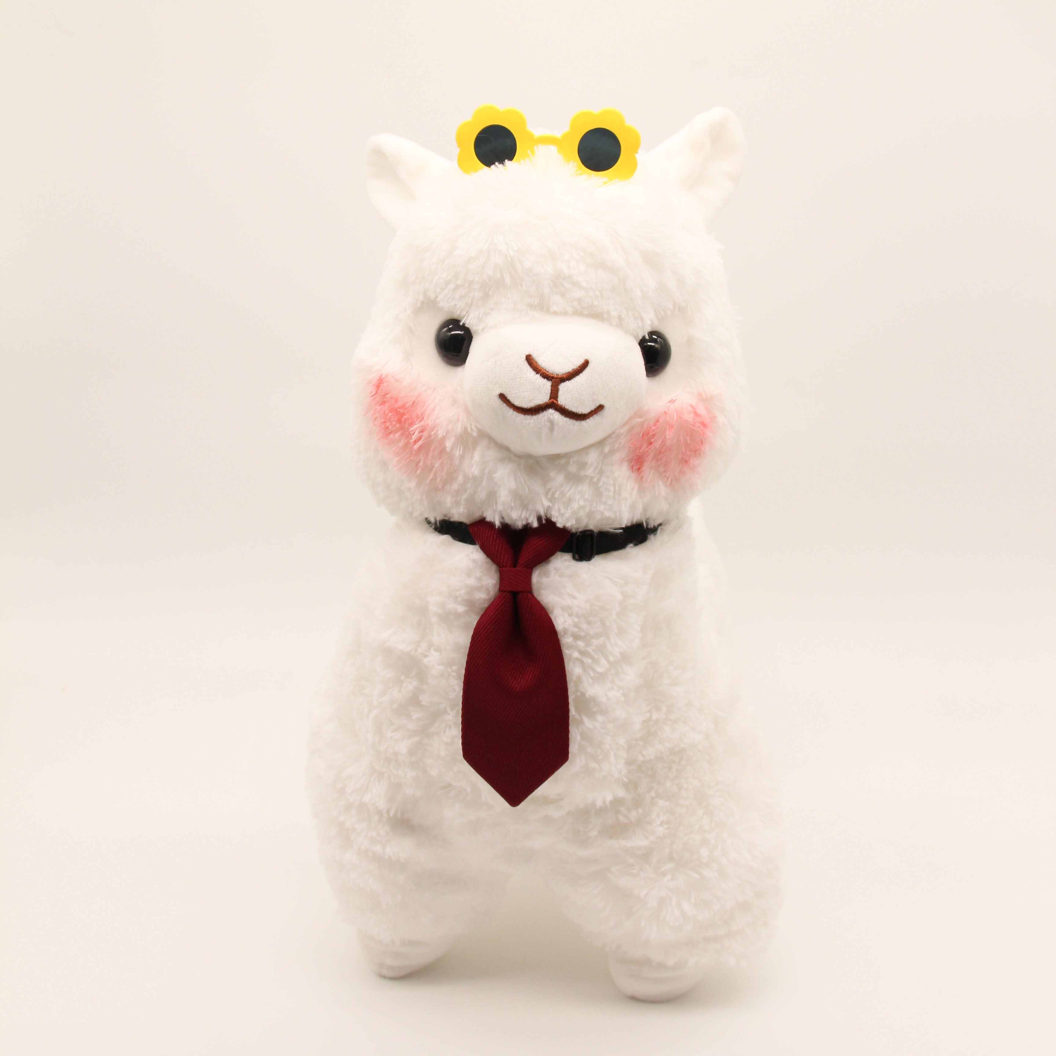 Mr Asahi the Alpaca