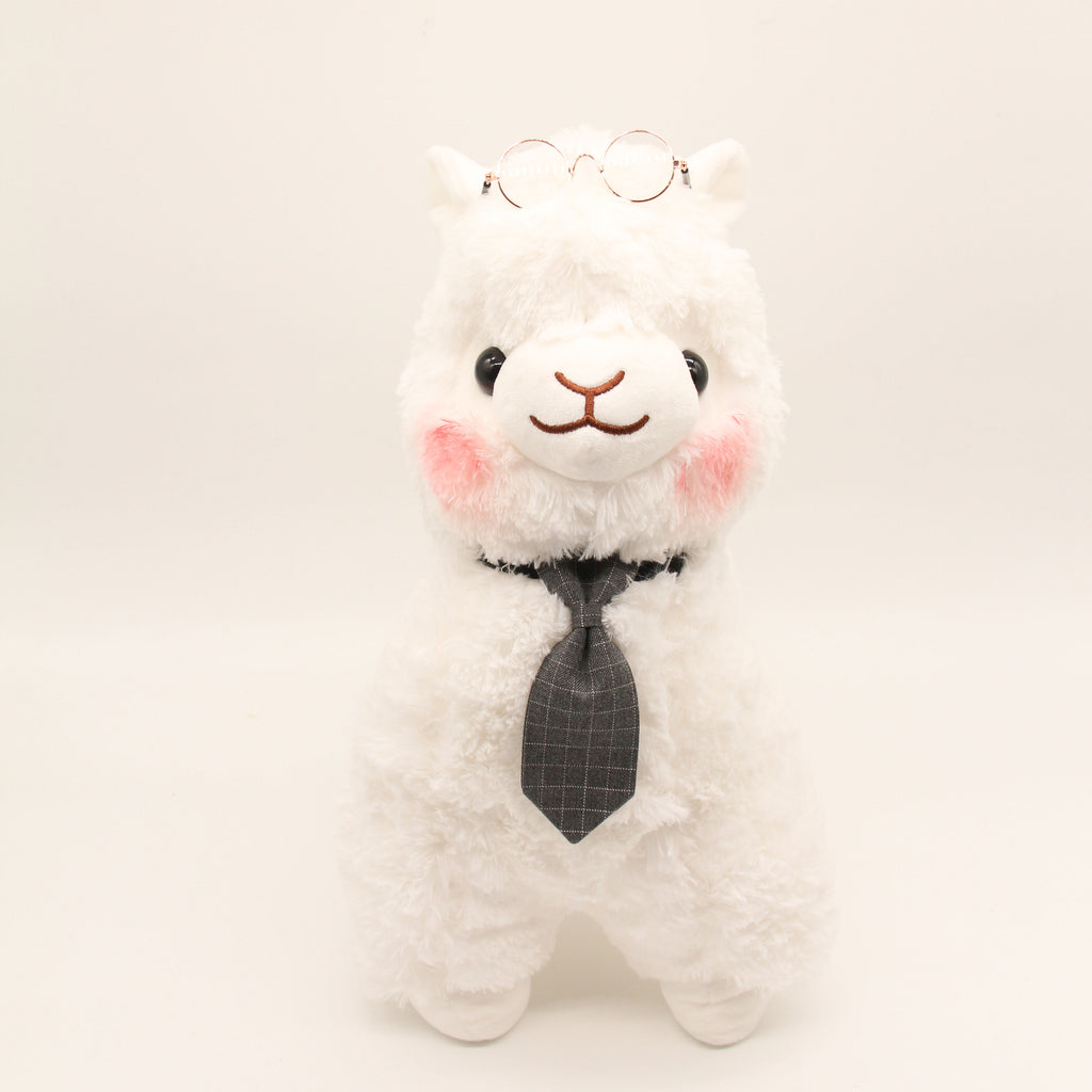 Mr Chi the Alpaca