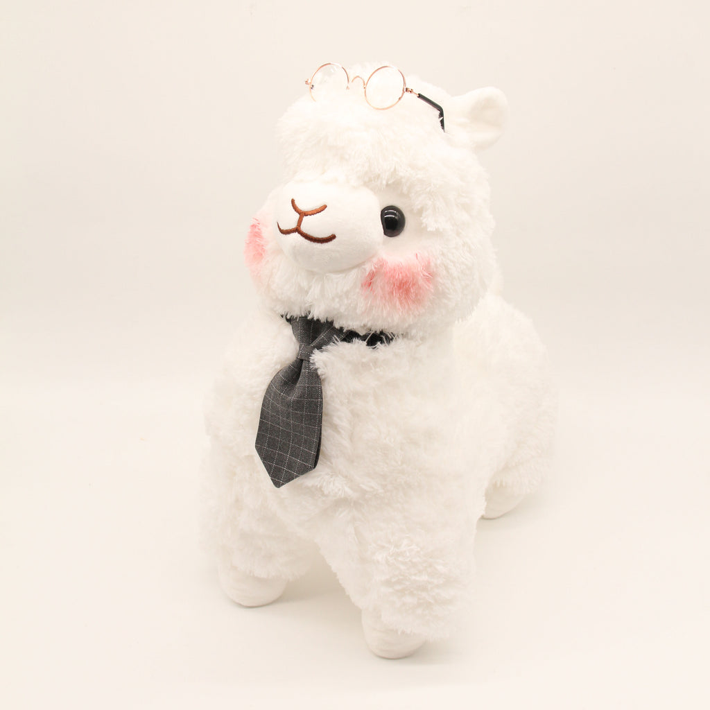 Mr Chi the Alpaca