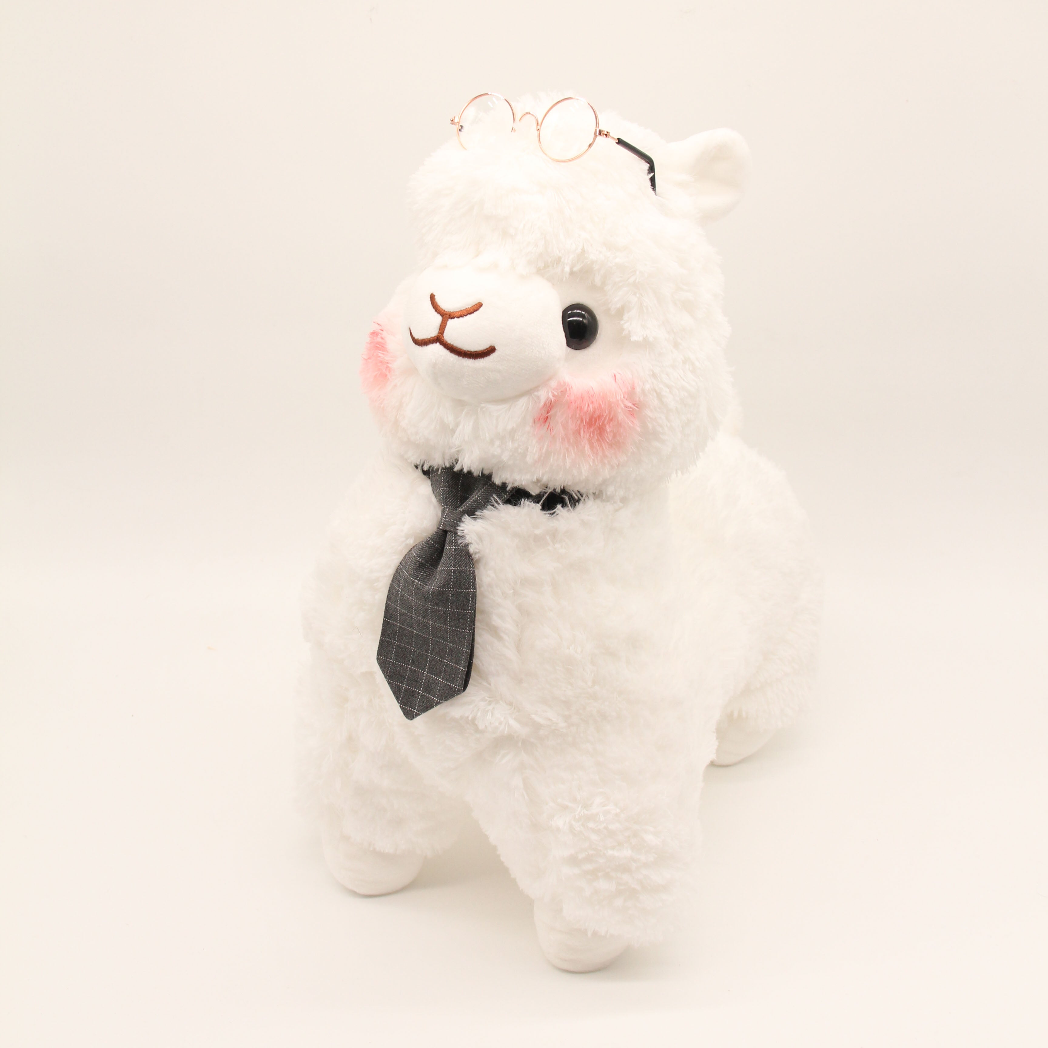 Mr Chi the Alpaca