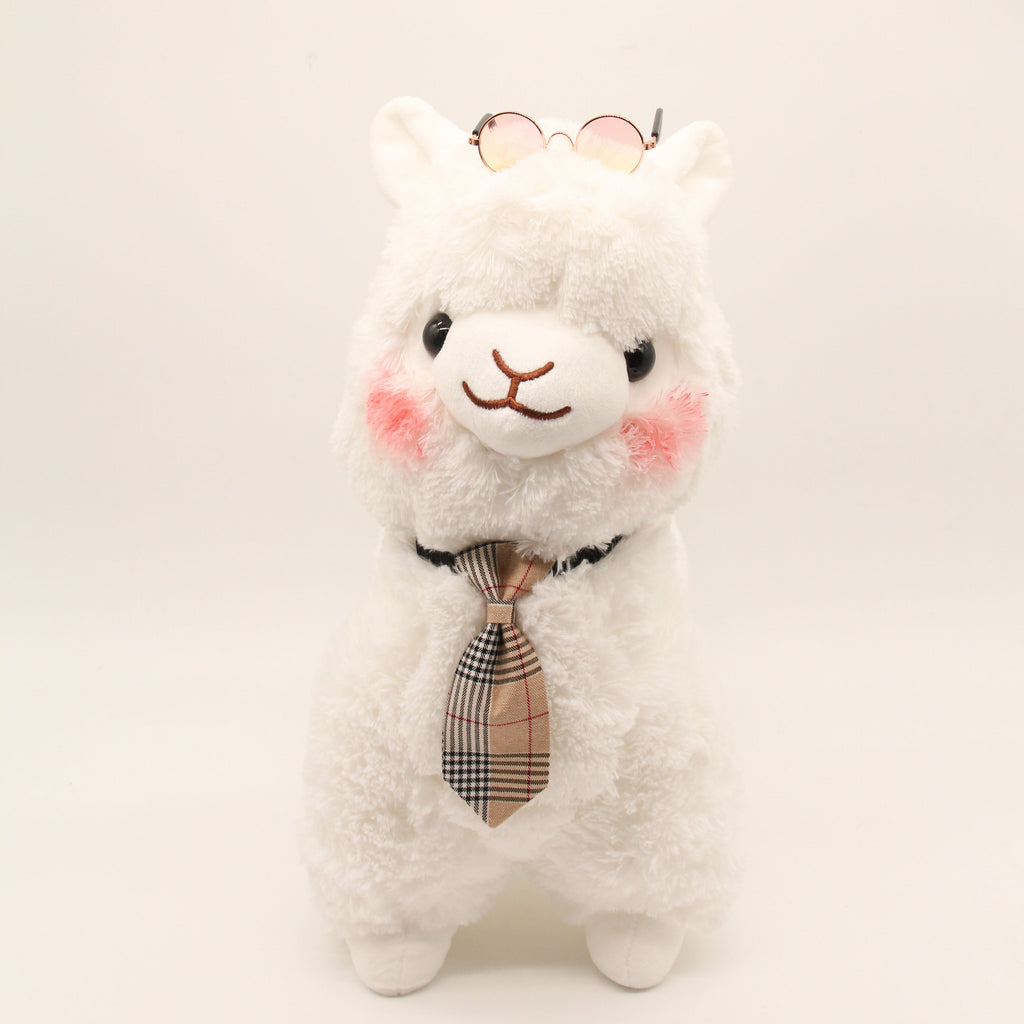 Mr Kaze the Alpaca