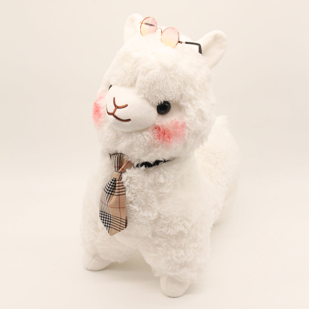 Mr Kaze the Alpaca