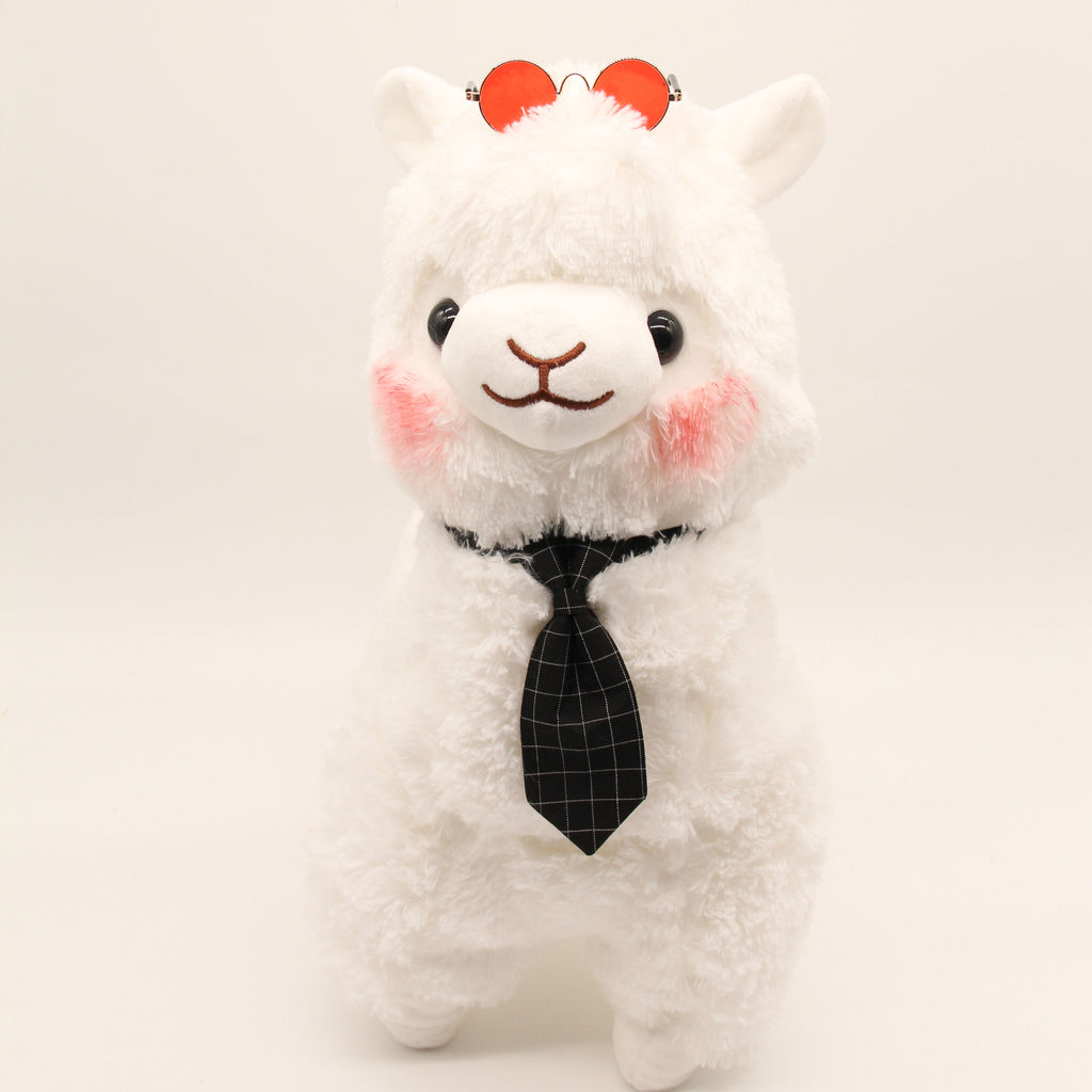 Mr Mizu the Alpaca
