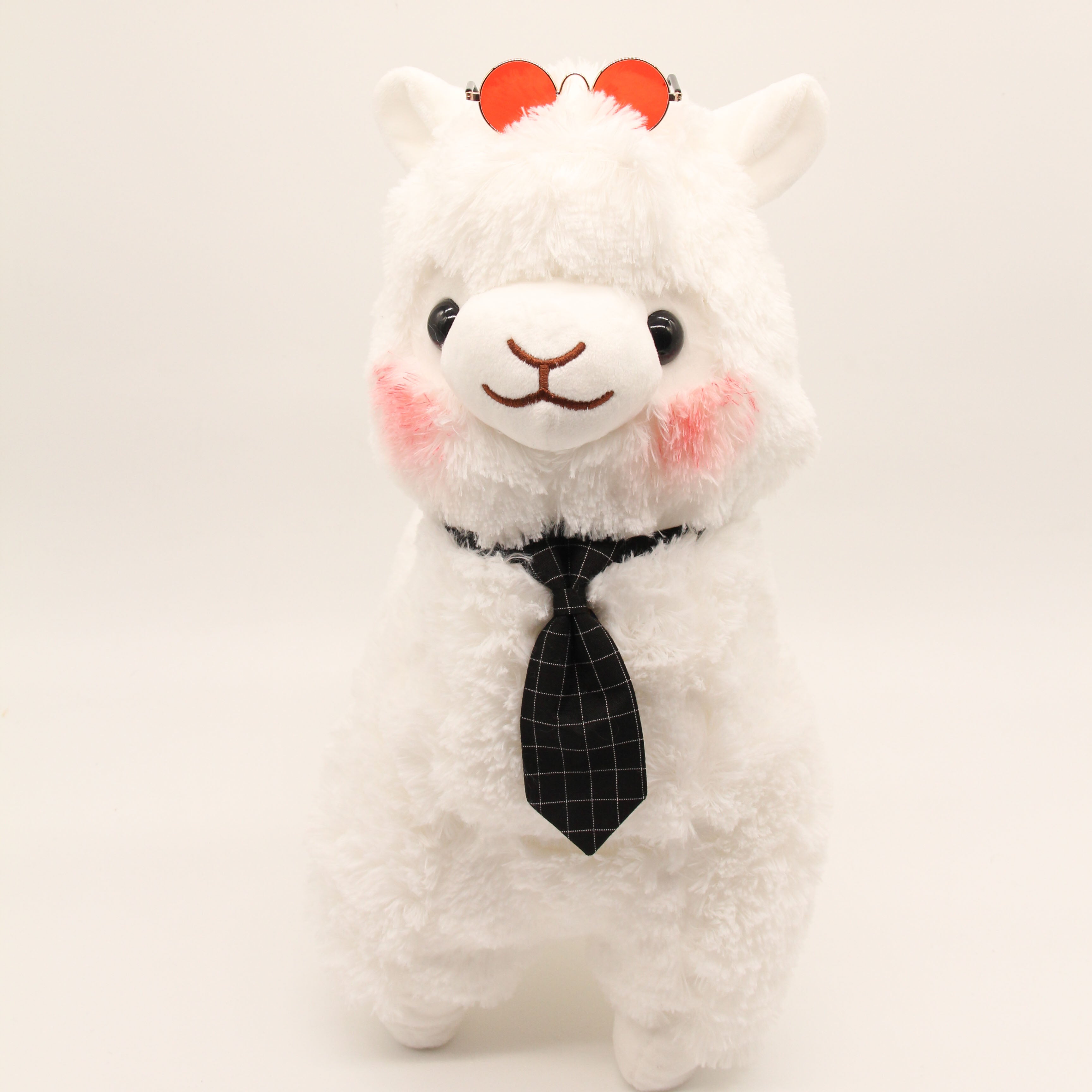 Mr Mizu the Alpaca