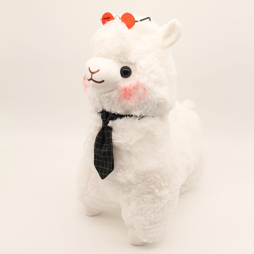 Mr Mizu the Alpaca