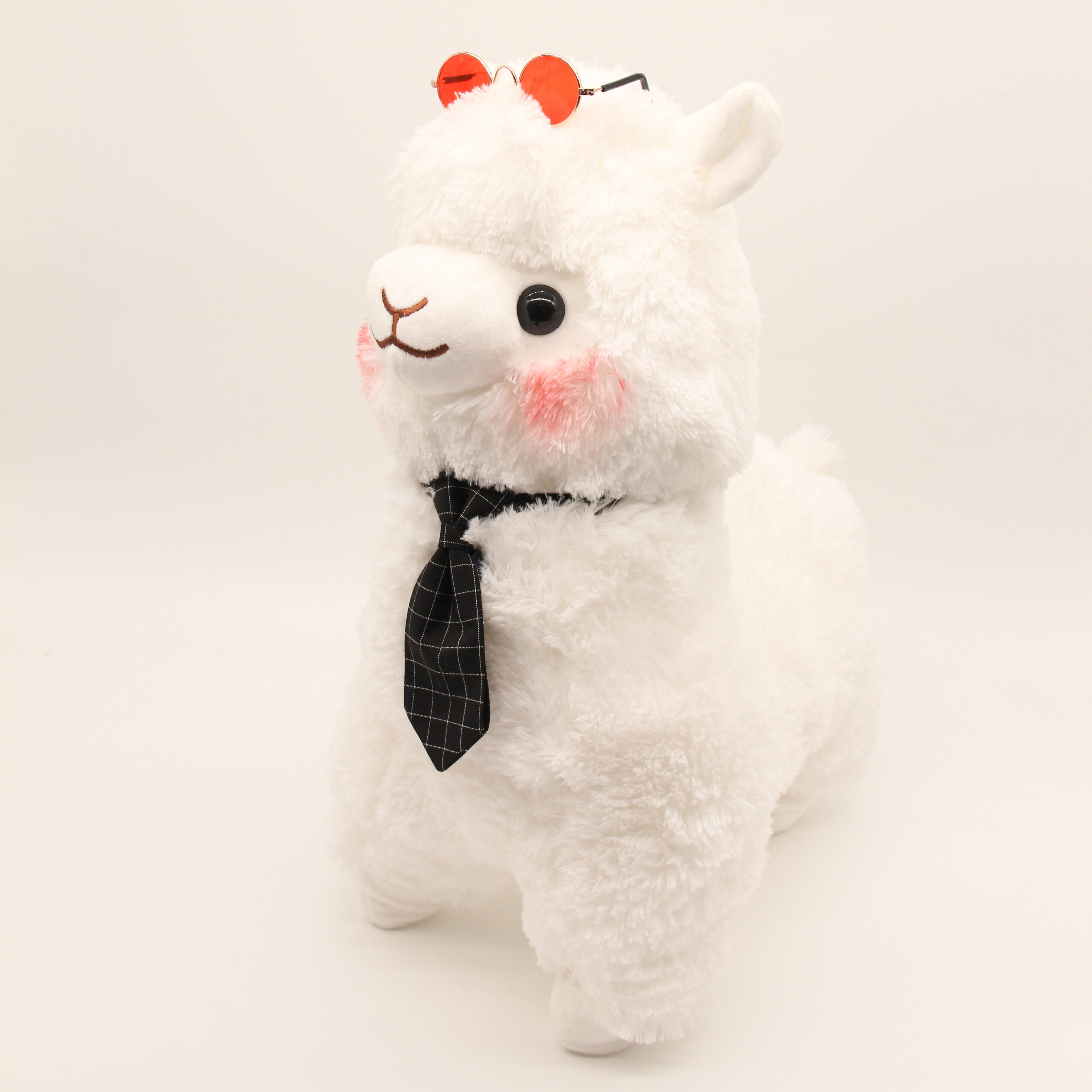 Mr Mizu the Alpaca