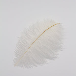 Natural Feathers (Set of 10)