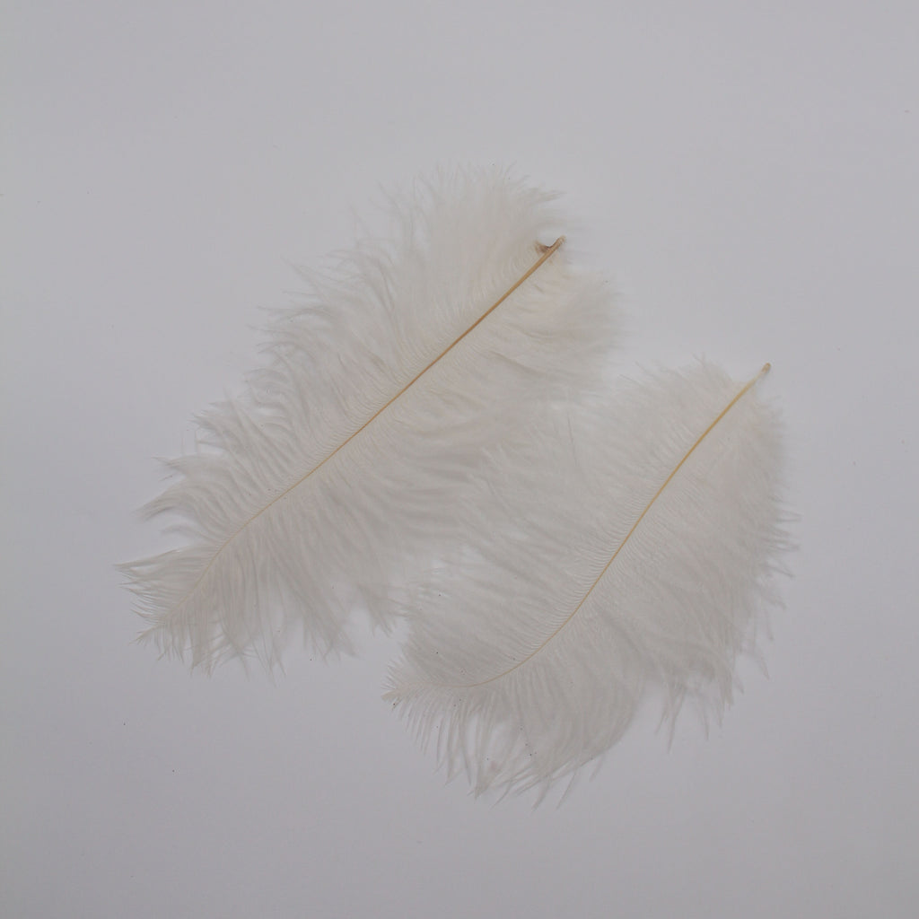 Natural Feathers (Set of 10)