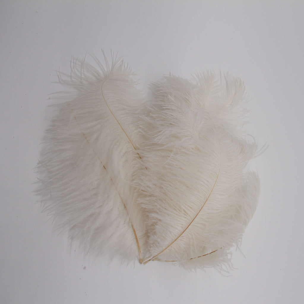 Natural Feathers (Set of 10)