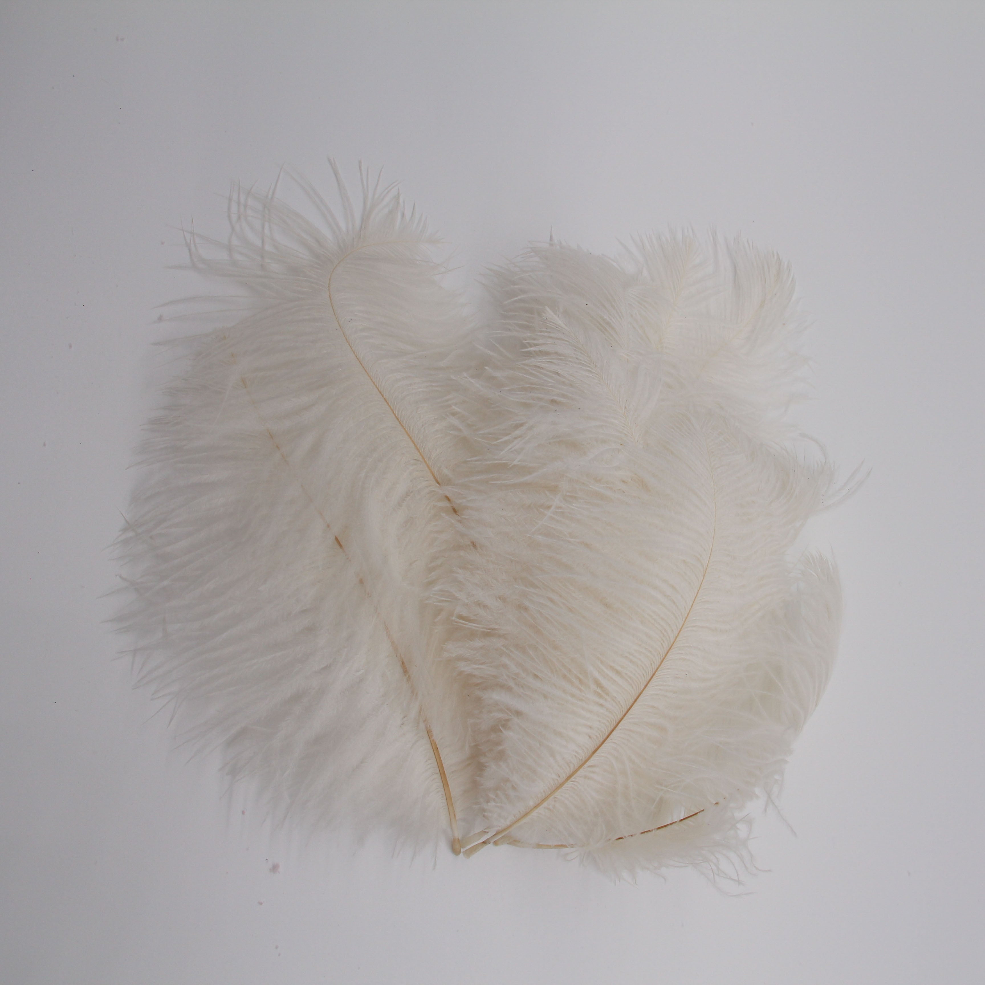 Natural Feathers (Set of 10)