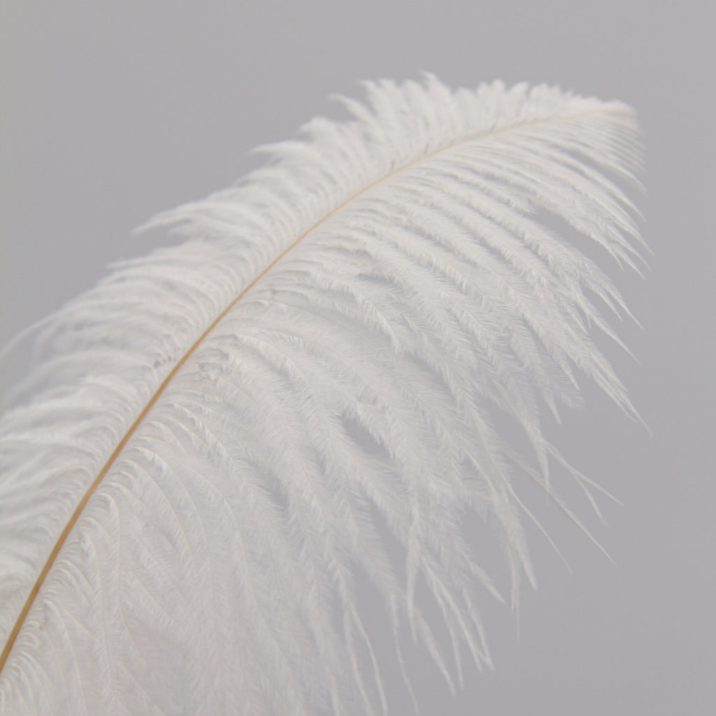 Natural Feathers (Set of 10)
