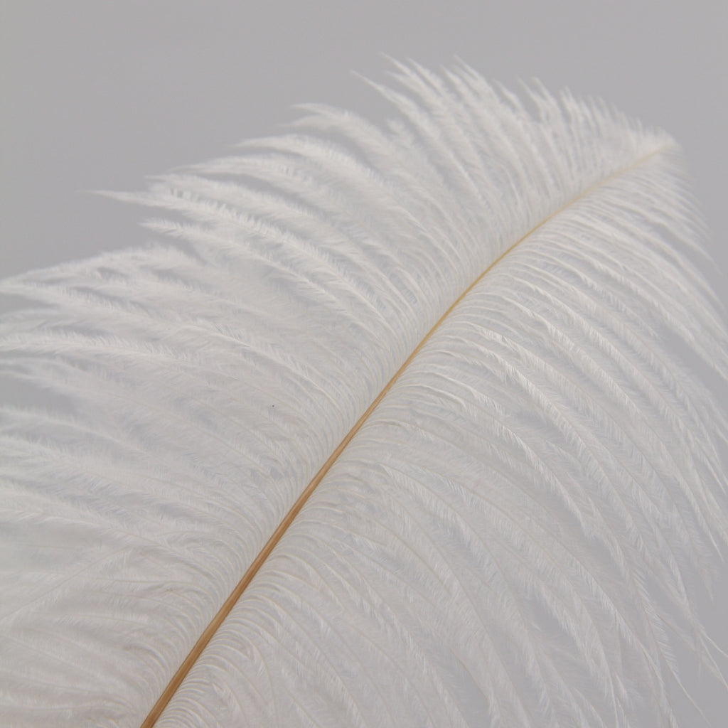 Natural Feathers (Set of 10)