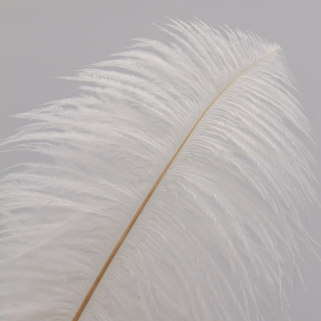 Natural Feathers (Set of 10)