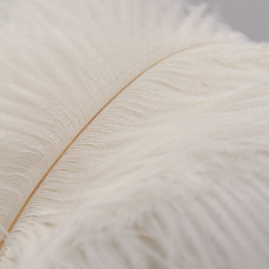 Natural Feathers (Set of 10)