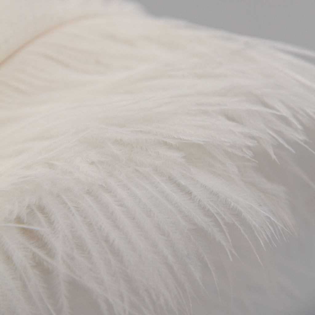 Natural Feathers (Set of 10)