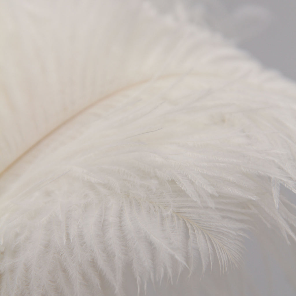 Natural Feathers (Set of 10)