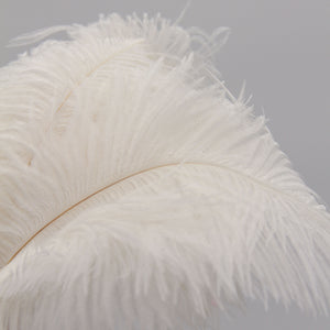 Natural Feathers (Set of 10)