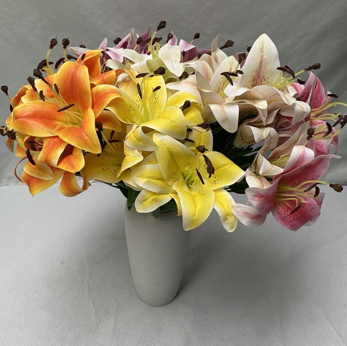 Orienpet Lilies