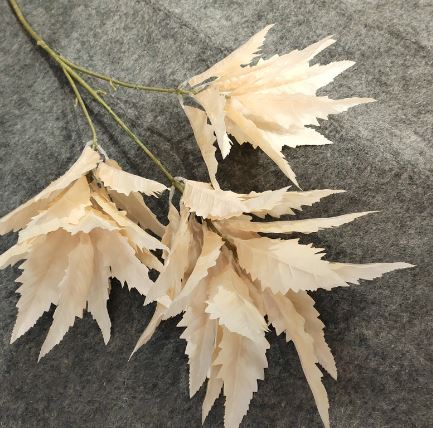 Chinese Astilbe Leaves